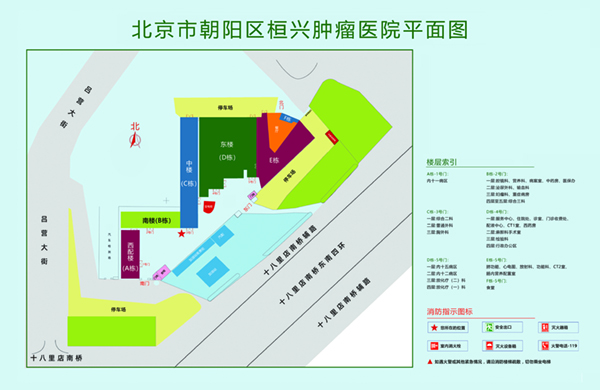 外国AAA级直播内射北京市朝阳区桓兴肿瘤医院平面图